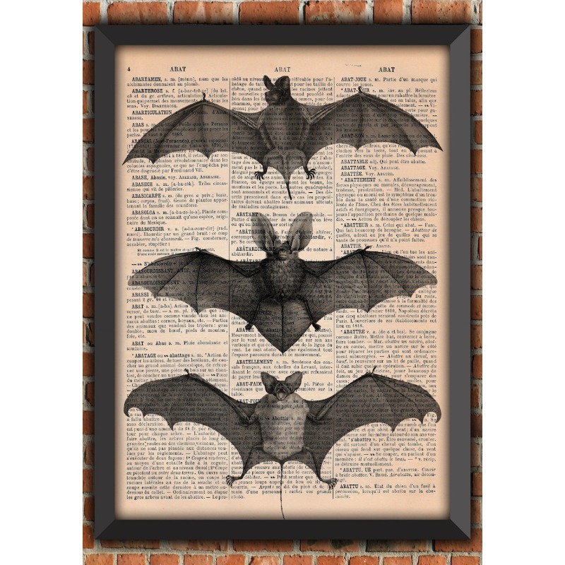 Photography Night - Bat Skeleton Dark Gothic Odd Scary