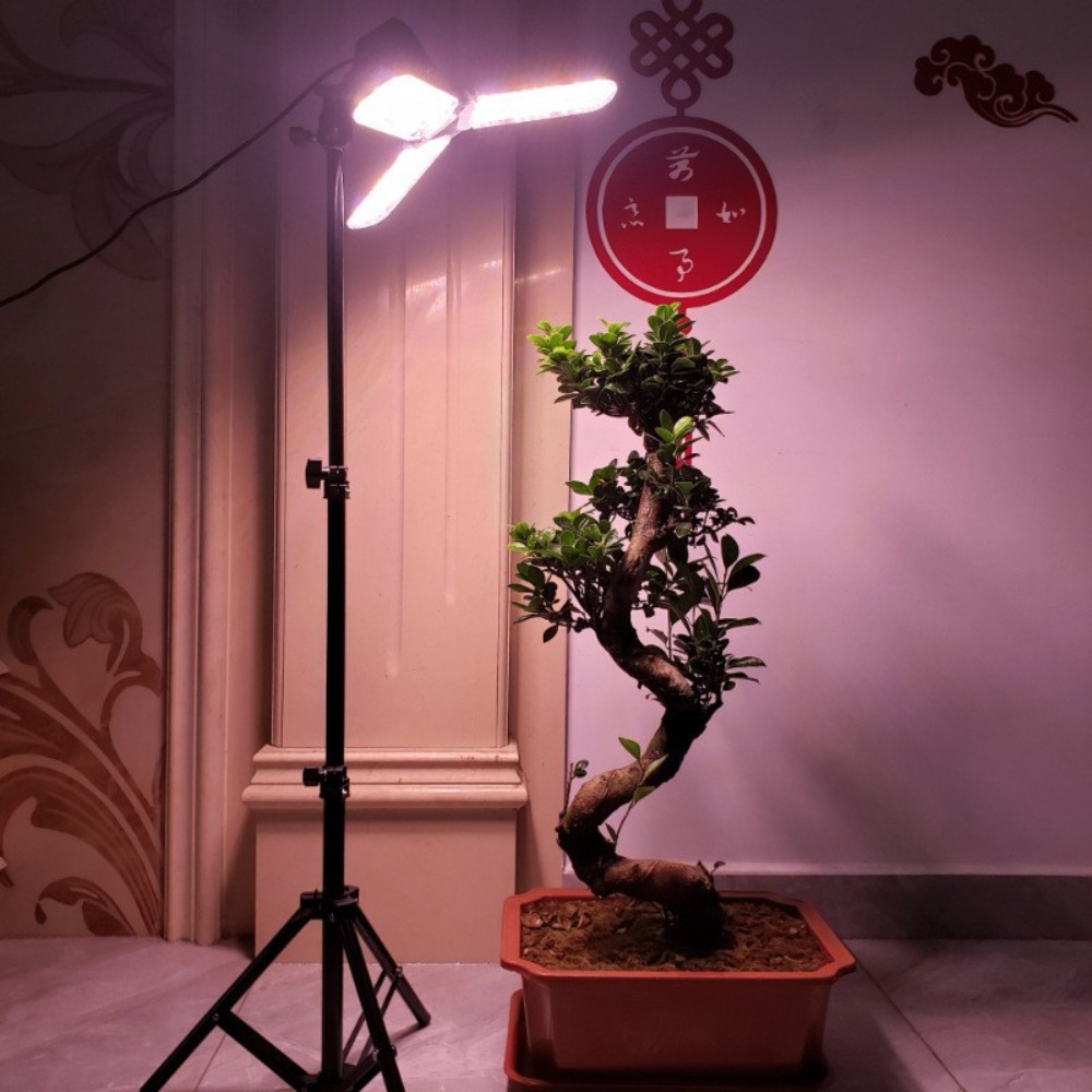 Gloeilampstandaard 2M, E27 AC- - Photography Umbrella Lights recensie en prijs