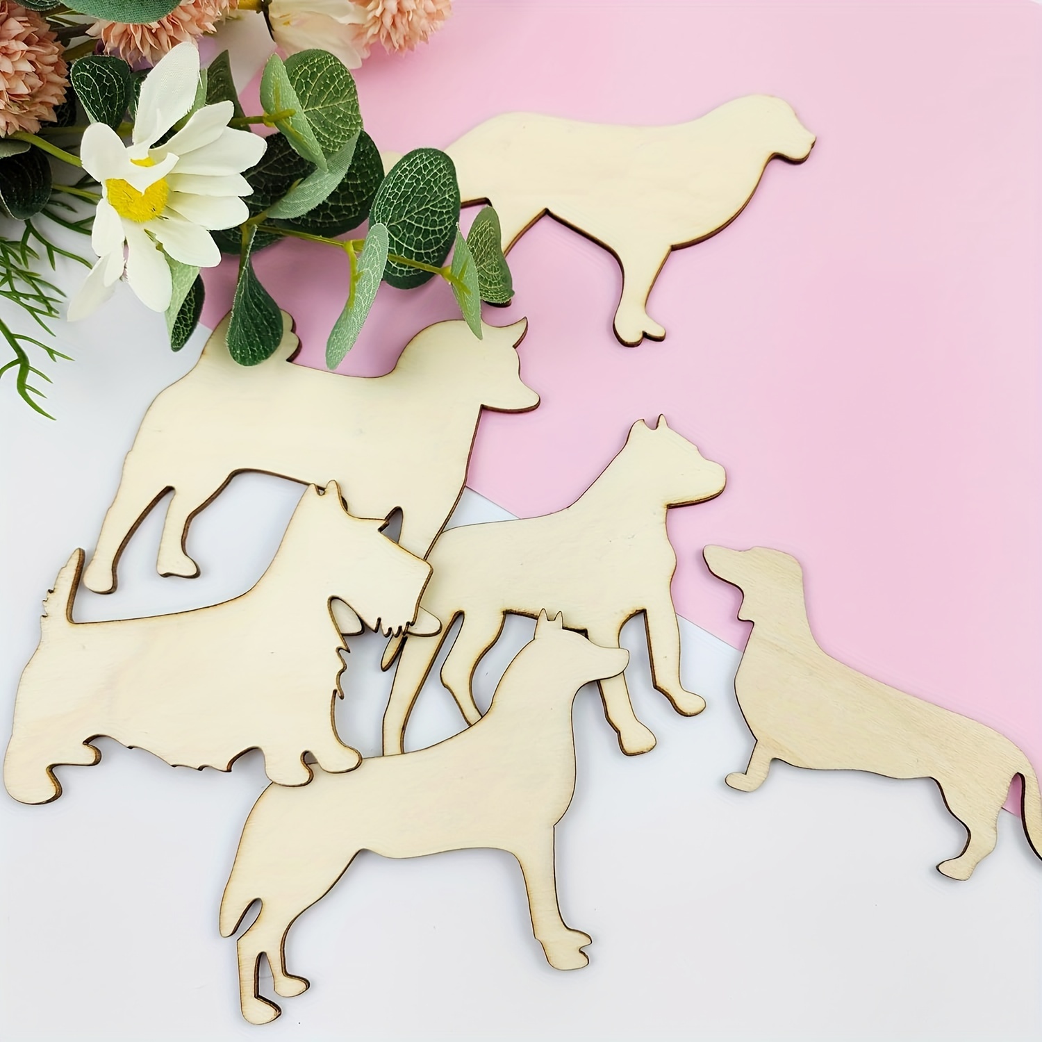 24 Pack Onafgewerkte Hond Hout - Photography Types recensie en prijs